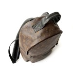 Louis Vuitton Palm Springs PM Backpack